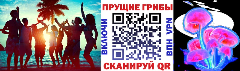 Галлюциногенные грибы Psilocybe  hydra онион  Сковородино  купить  сайты 